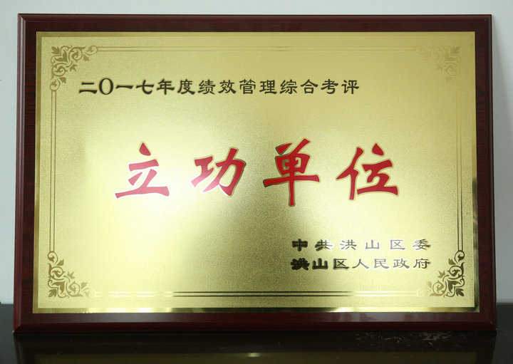 近日，我院被评为2017年度全区绩效管理综合考评立功单位.jpg