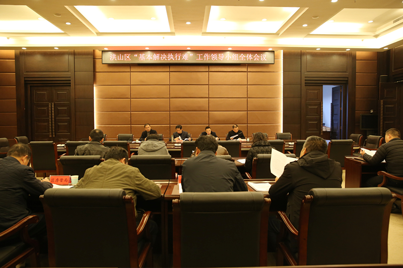 11月26日上午，洪山区召开“基本解决执行难”工作领导小组全体会议.jpg